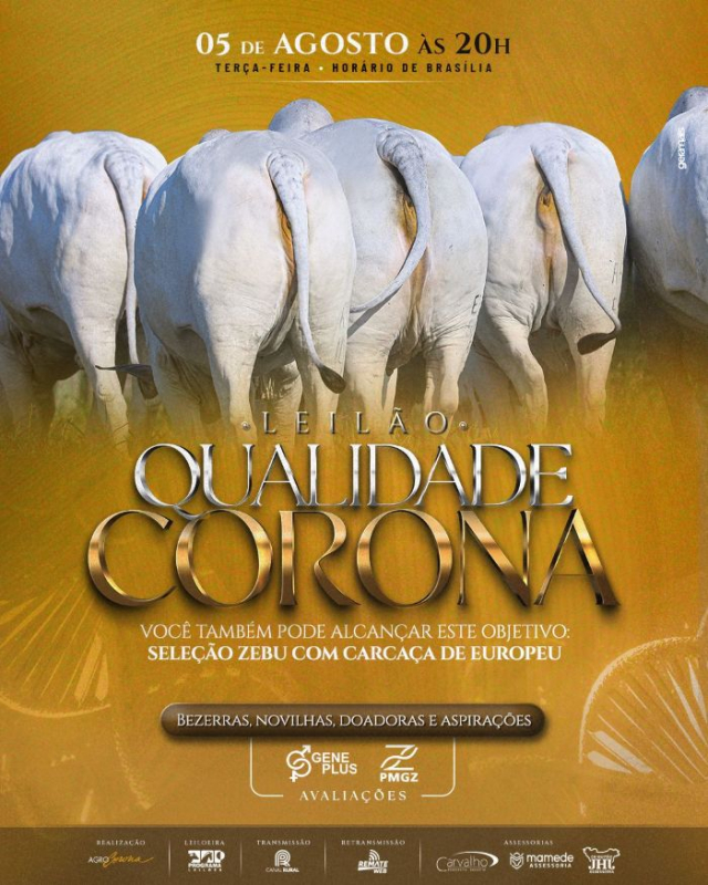 Leilão Virtual Qualidade Corona