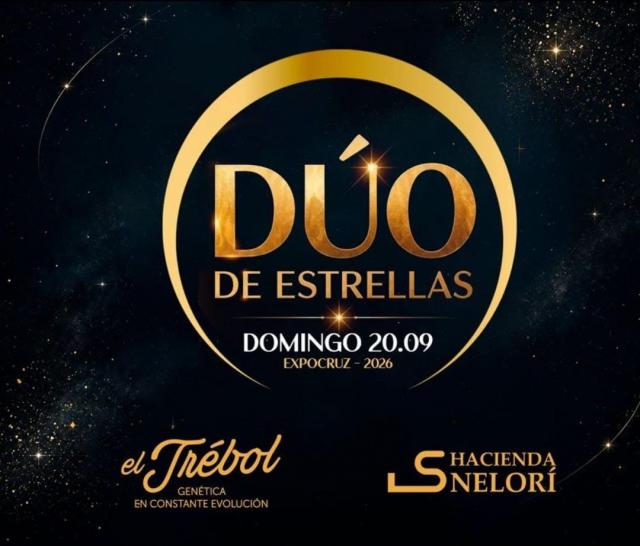 Leilão Dúo de Estrelas - Expocruz 2026