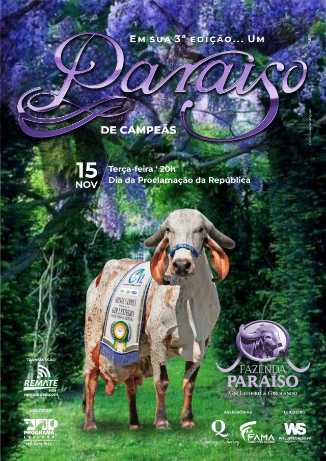 Leilão Paraíso de Campeãs - 3° Edição