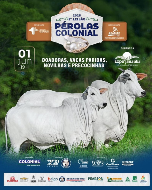 5º Leilão Pérolas Colonial