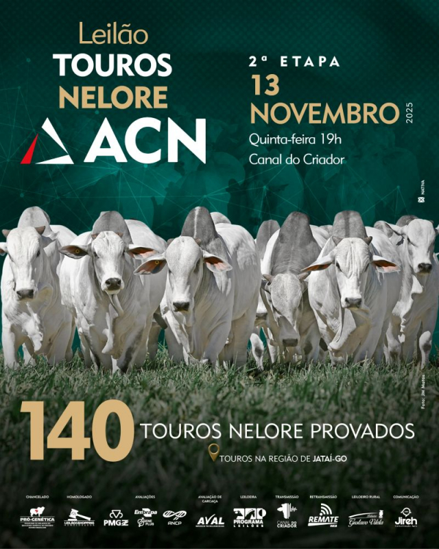 Leilão Virtual Touros Nelore ACN - 2ª Etapa