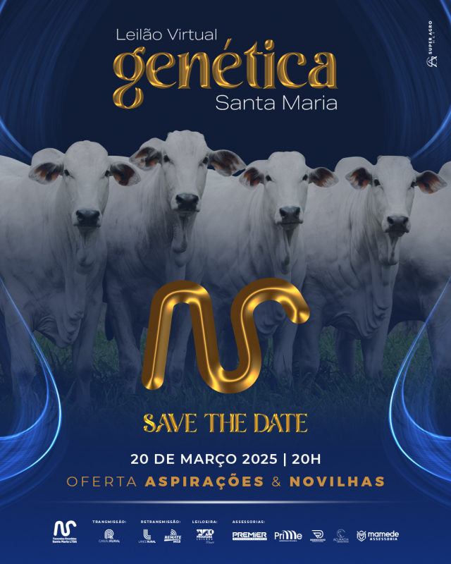Leilão Virtual Genética Santa Maria - Aspirações e Novilhas