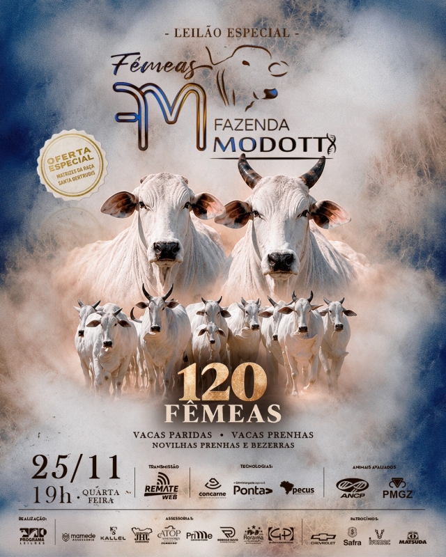Leilão Especial Fêmeas Fazenda Modotti
