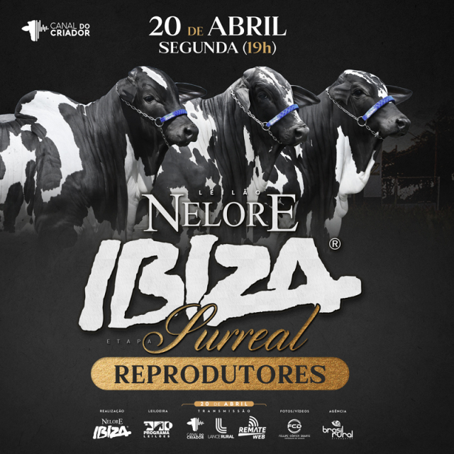Leilão Nelore Ibiza - Etapa Surreal Reprodutores
