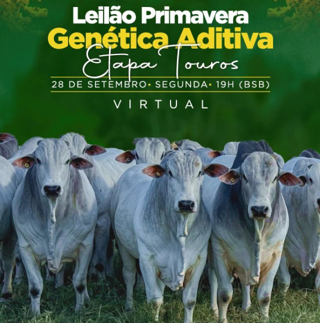 Leilão Primavera Genética Aditiva - Etapa Touros
