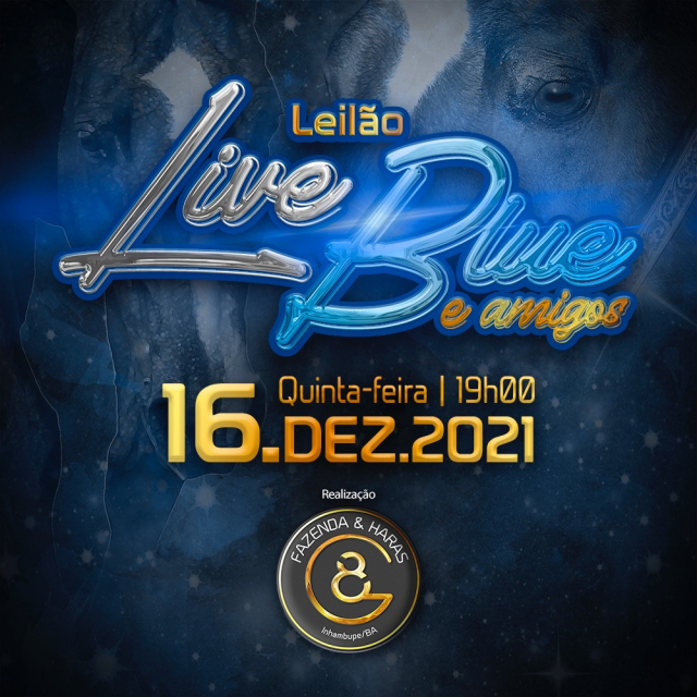 Leilão Live Blue & Amigos