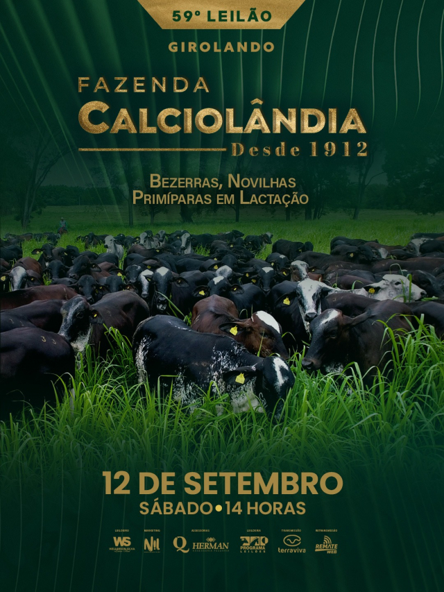 59° Girolando Fazenda Calciolândia