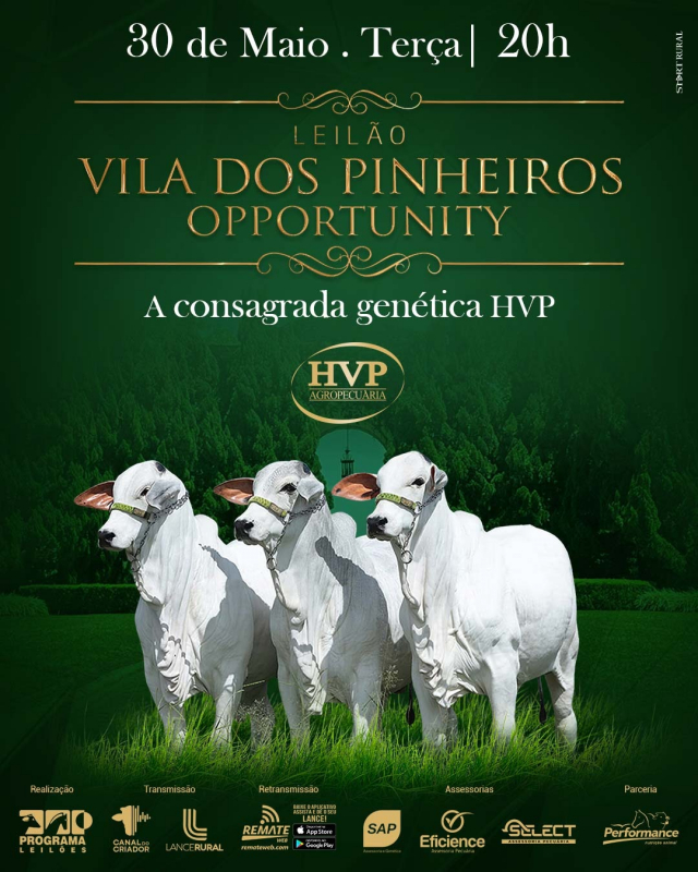 Leilão Vila dos Pinheiros Opportunity