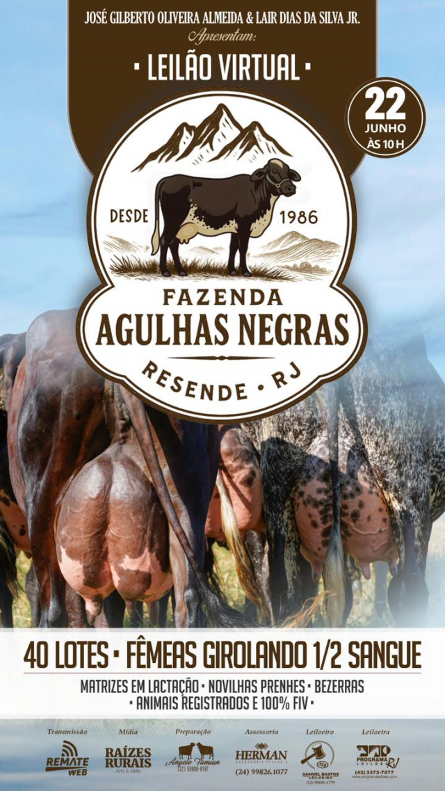 Leilão Virtual Fazenda Agulhas Negras