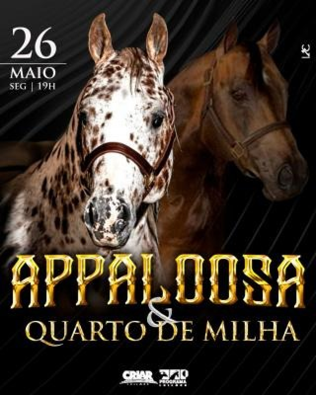 Leilão Virtual Appaloosa e Quarto de Milha