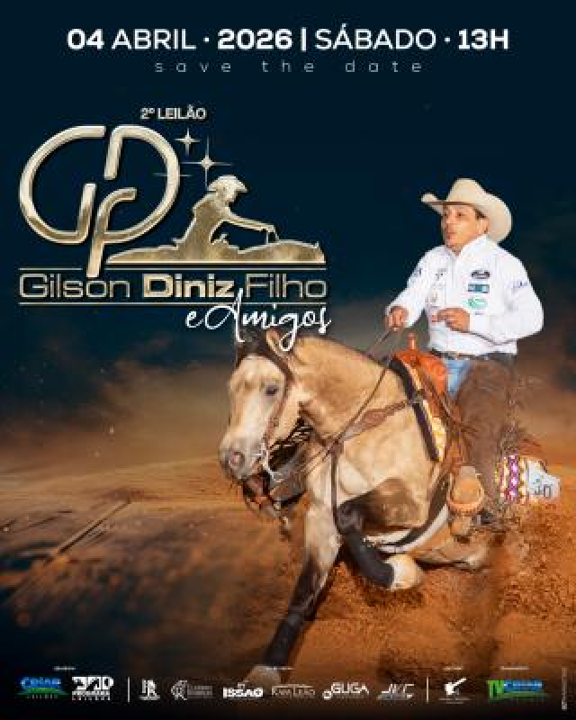 Leilão Gilsinho Diniz