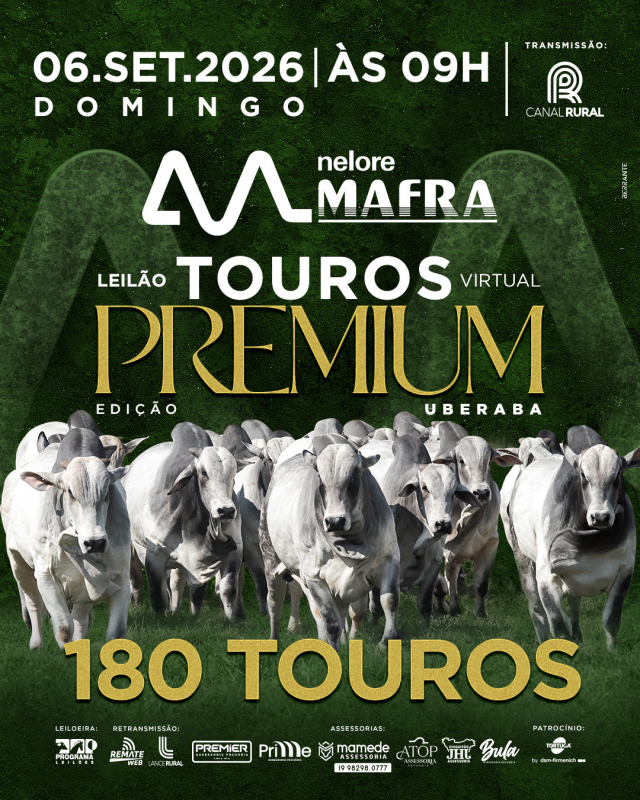 Leilão Virtual Touros Premium Mafra