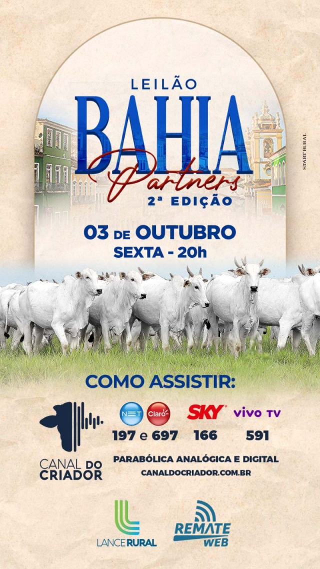 Leilão Bahia Partners - 2ª Edição