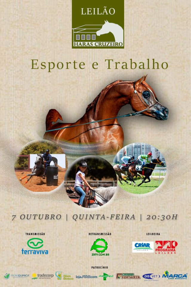 Leilão Haras Cruzeiro - Cavalo Árabe
