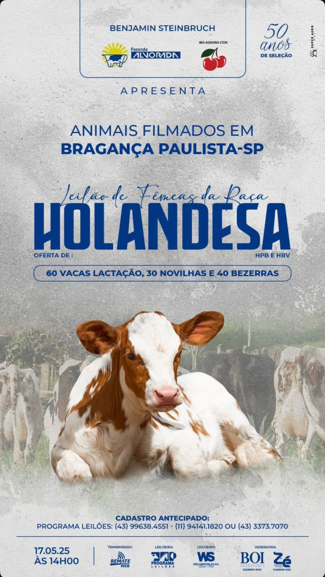 Leilão Virtual Fêmeas Raça Holandesas