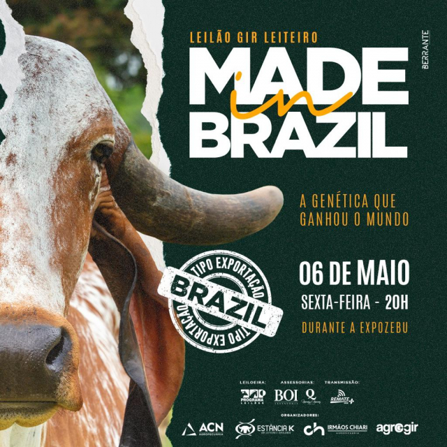 Gir Leiteiro Made In Brazil