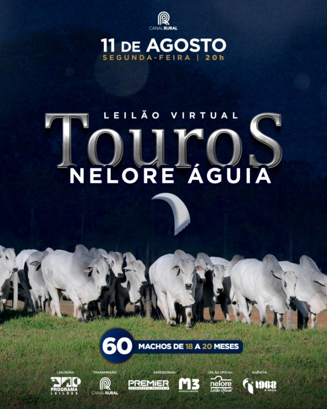 Leilão Virtual Touros - Nelore Águia