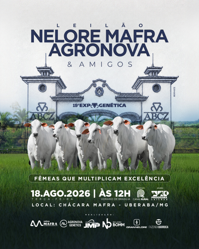 Leilão Nelore Mafra Agronova & Amigos