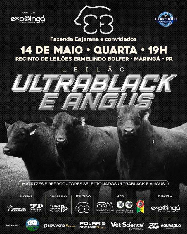 Leilão Ultrablack e Angus Fazenda Cajarana e Convidados