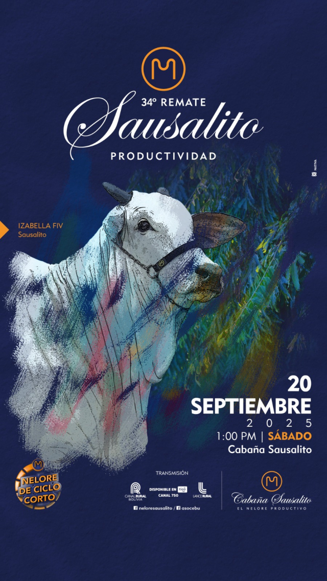 34º Remate Sausalito - Productividad