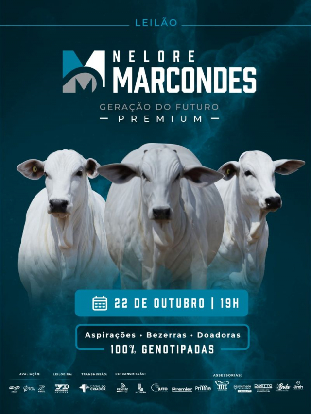 Nelore Marcondes - Geração do Futuro Premium