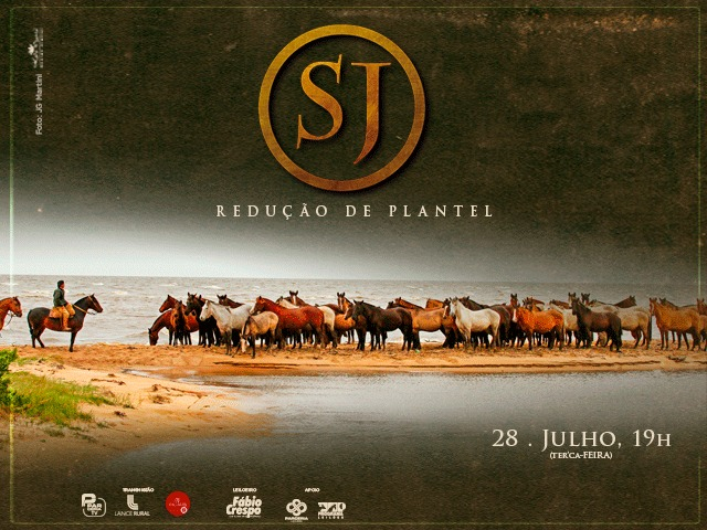 Leilão Fazenda SJ - Redução de Plantel