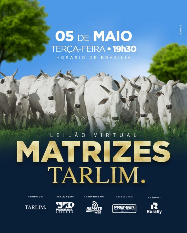 Leilão Virtual Matrizes Tarlim.