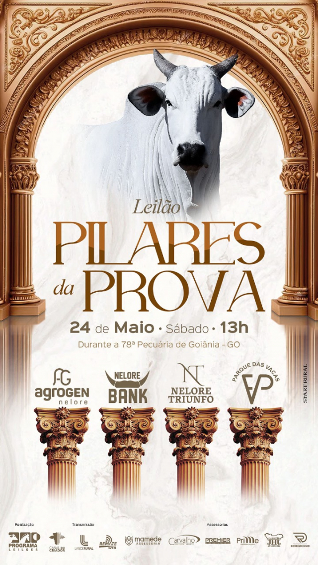 Leilão Pilares da Prova