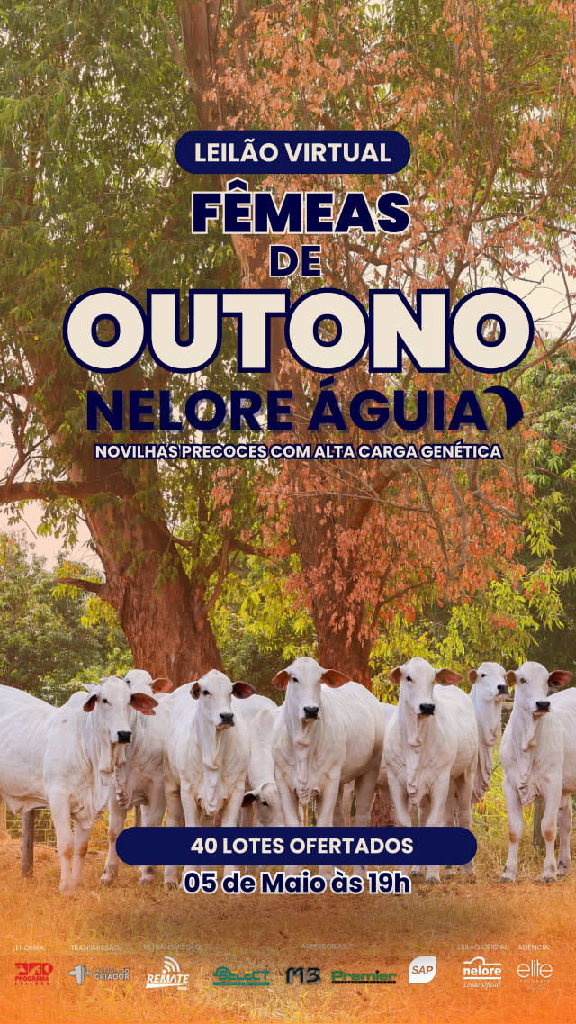 Leilão Virtual Fêmeas de Outono Nelore Águia