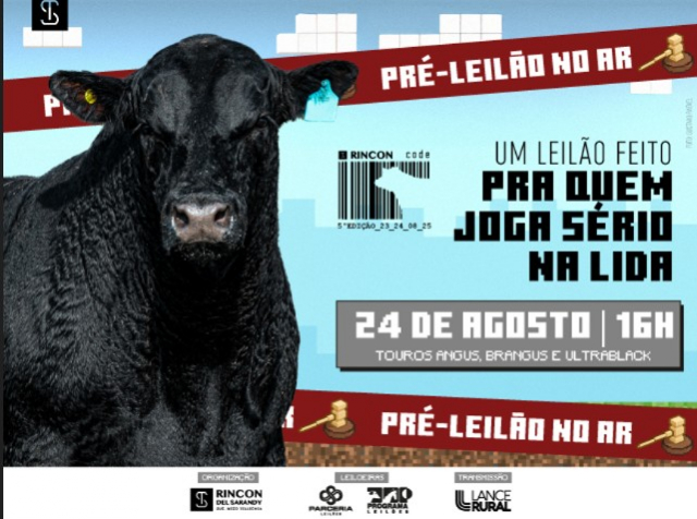 Leilão Virtual Rincon Code - 5ª Edição