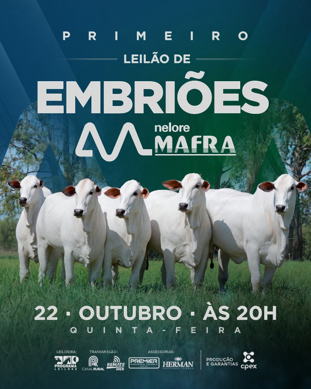 1º Leilão de Embriões Nelore Mafra