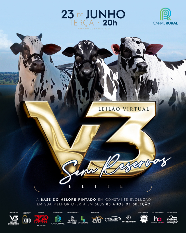 Leilão V3 Sem Reservas - Elite