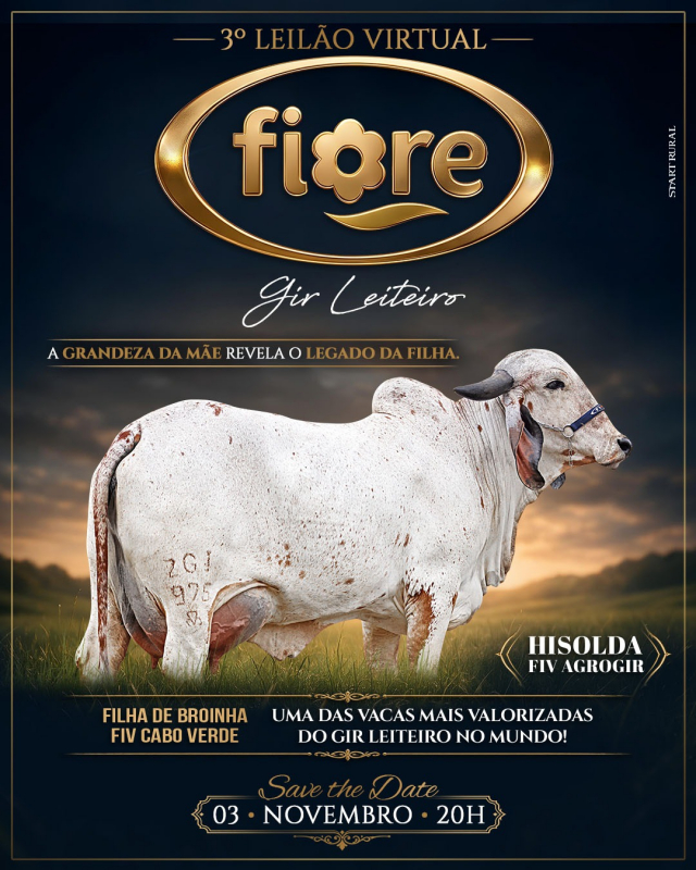 3° Leilão Virtual Gir Leiteiro Fiore