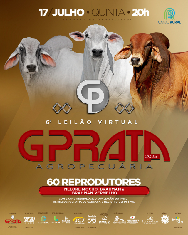 6° Leilão Virtual Nelore G Prata Agropecuária