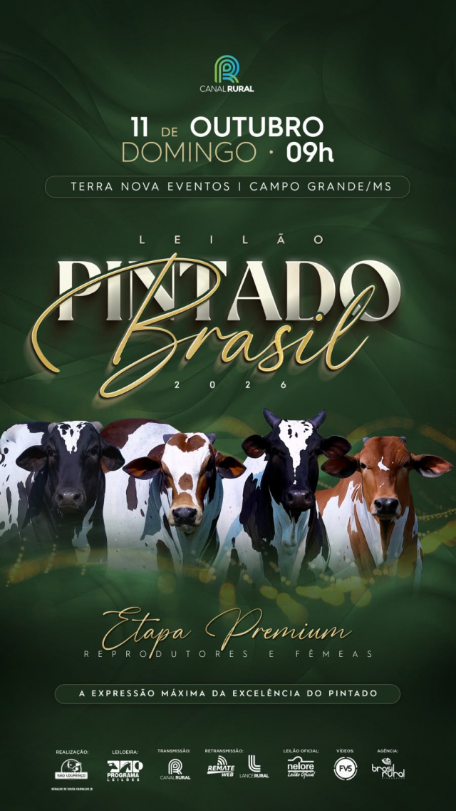 Leilão Pintado Brasil 2026: