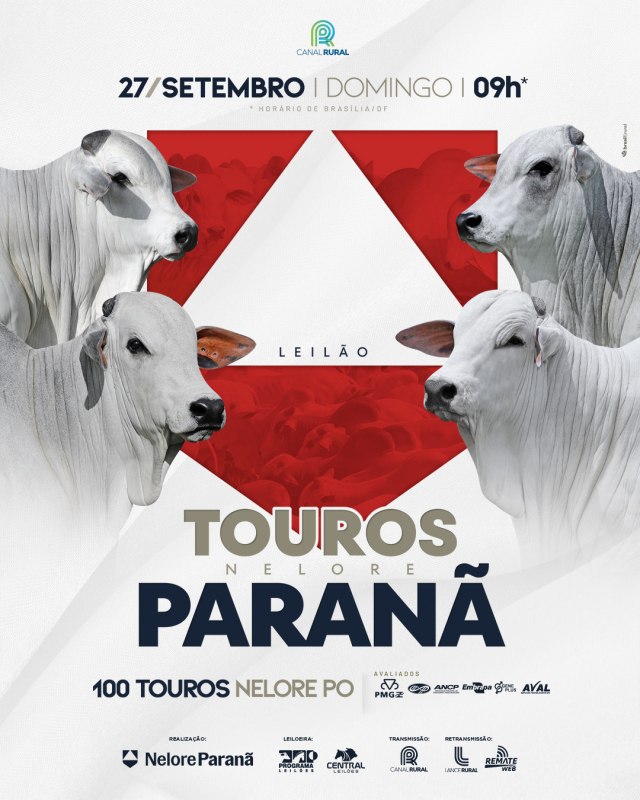 Leilão Touros Nelore Paranã - 100 Touros