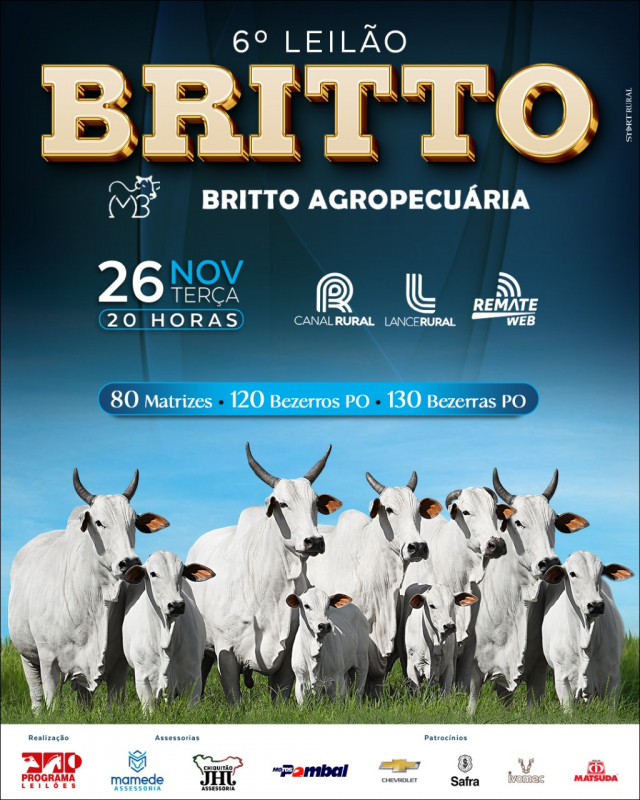 6° Leilão Virtual Britto Agropecuária