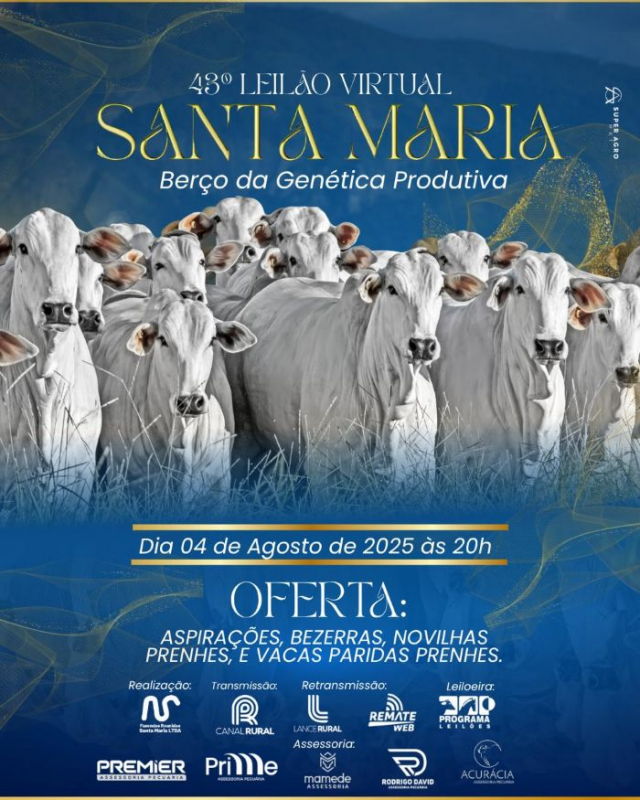 43º Leilão Virtual Santa Maria