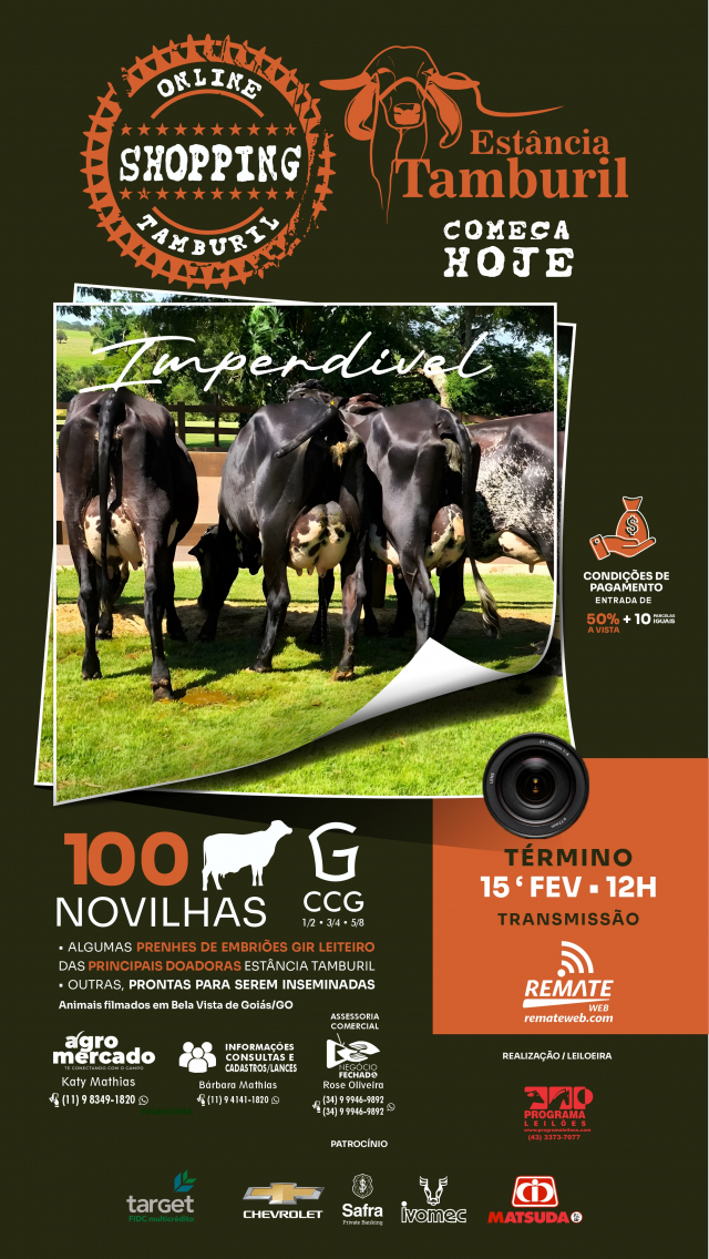 Shopping - Estancia Tamburil