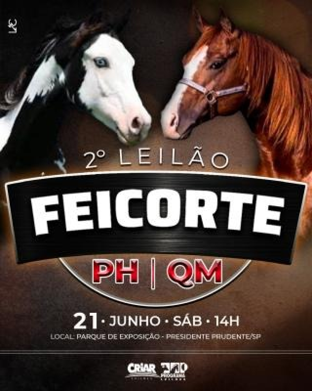 2º Leilão Feicorte