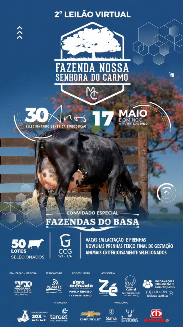 2º Leilão Virtual Fazenda Nossa Senhora do Carmo