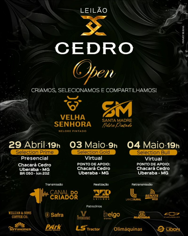 Leilão Cedro Open - Selection Bull