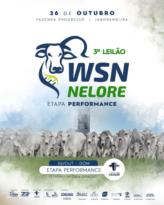3º Leilão Nelore WSN Nelore - Etapa Performance
