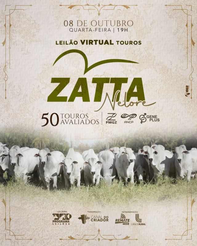 Leilão Virtual Touros Nelore Zatta