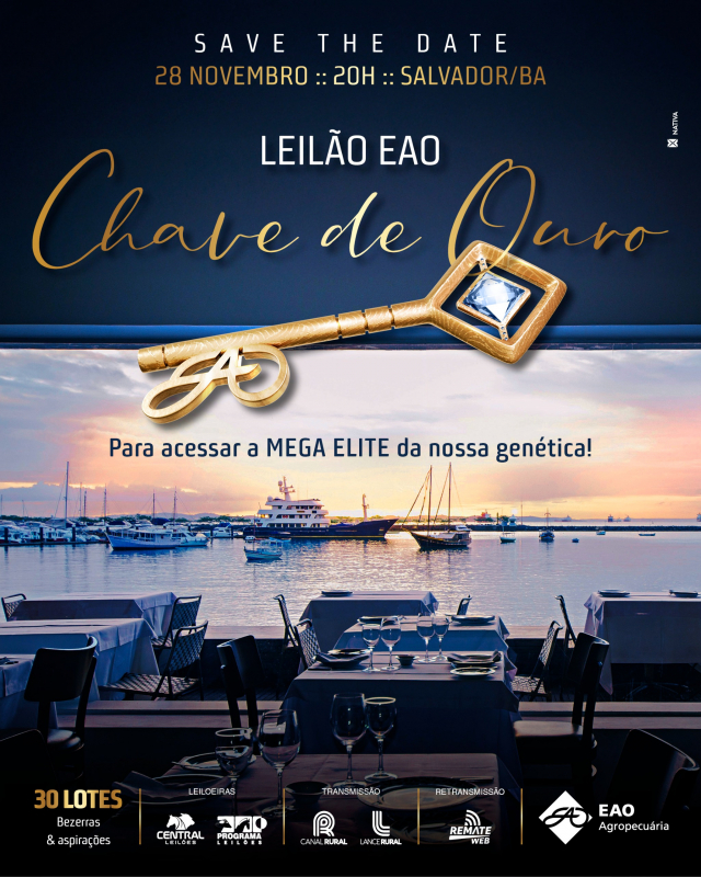 Leilão EAO Chave de Ouro - Bezerras e Aspirações