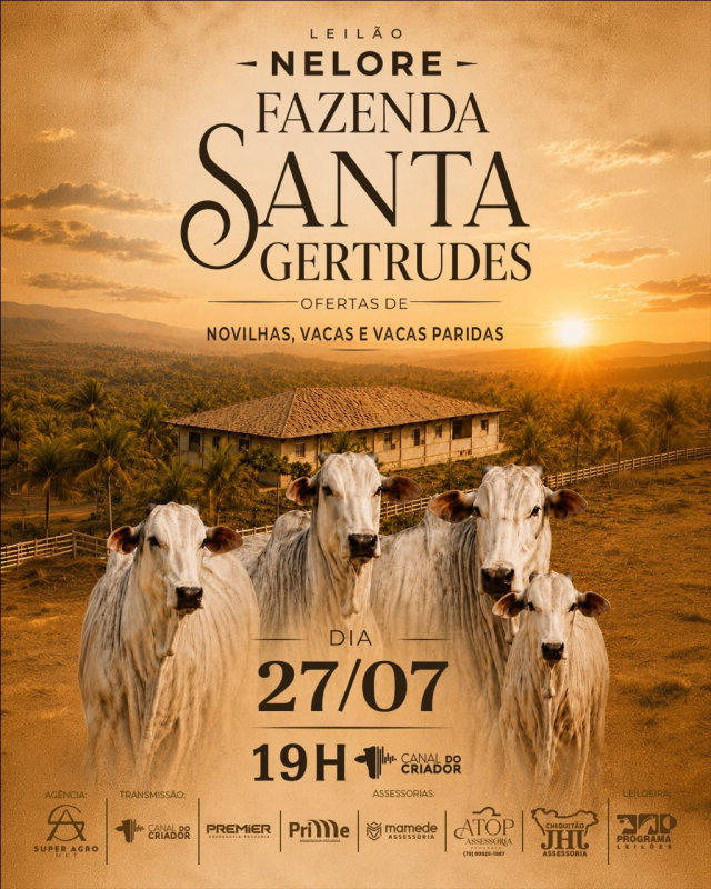 Leilão Nelore Fazenda Santa Gertrudes