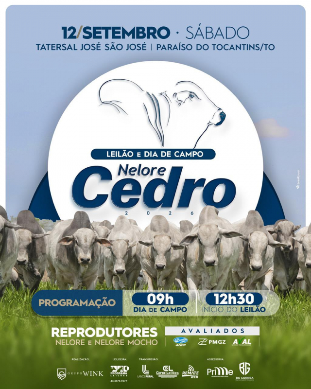 Leilão e Dia de Campo Nelore Cedro - Etapa Touros
