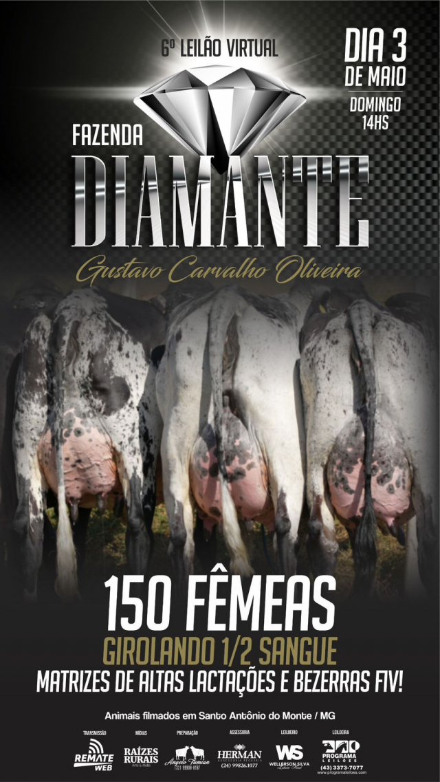6º Leilão Virtual Fazenda Diamante