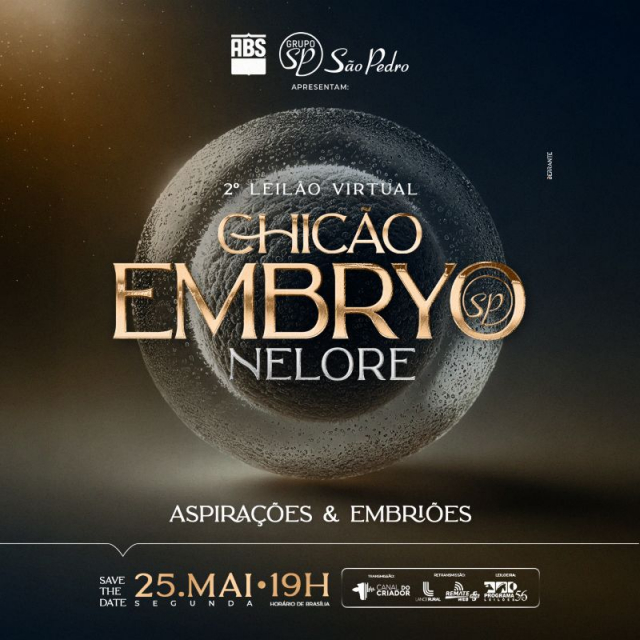 2º Leilão Virtual Chicão Embryo Nelore
