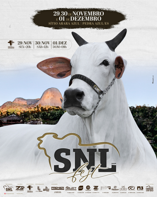 Leilão SNL Fest